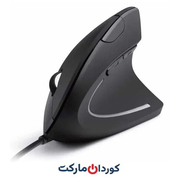 ماوس ارگونومیک Ergonomic 6D Mouse