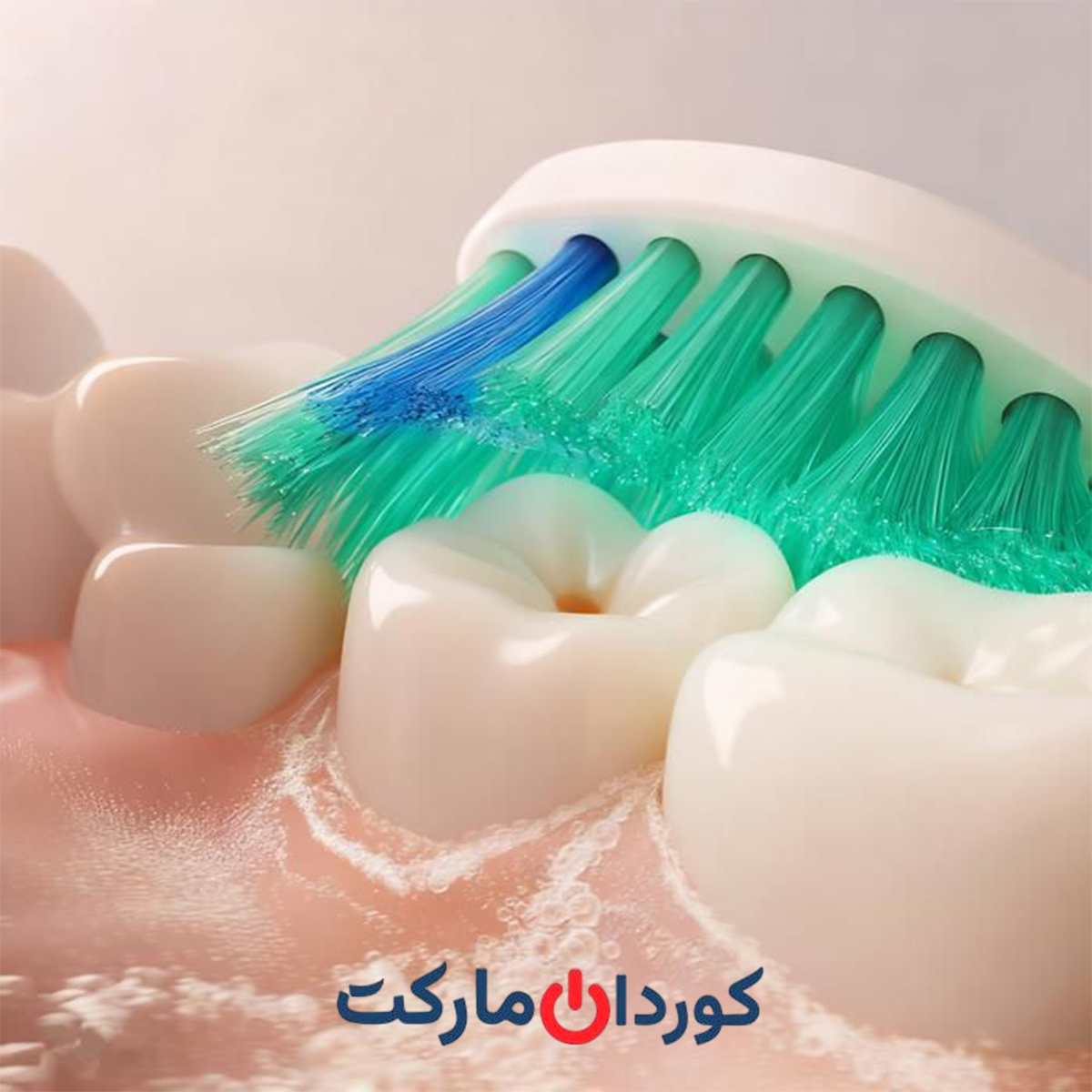 پک 12 عددی سری های مسواک فیلیپس سونیکر Philips Sonicare سری C1 مدل HX6018/31 - Image 7